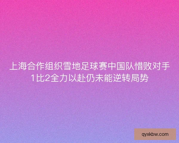 上海合作组织雪地足球赛中国队惜败对手1比2全力以赴仍未能逆转局势