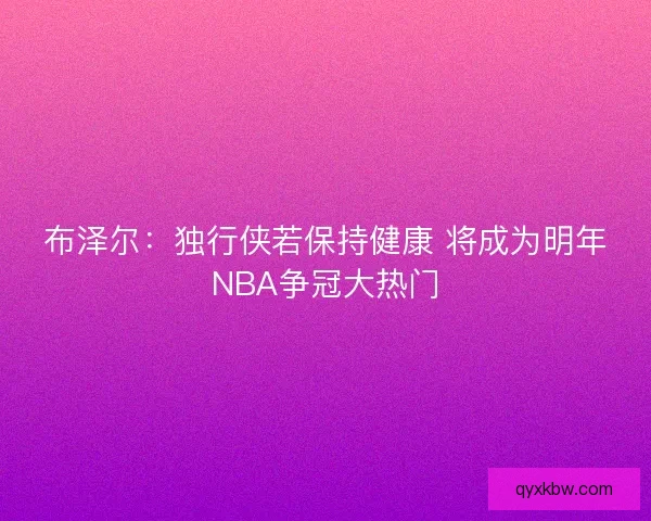 布泽尔：独行侠若保持健康 将成为明年NBA争冠大热门